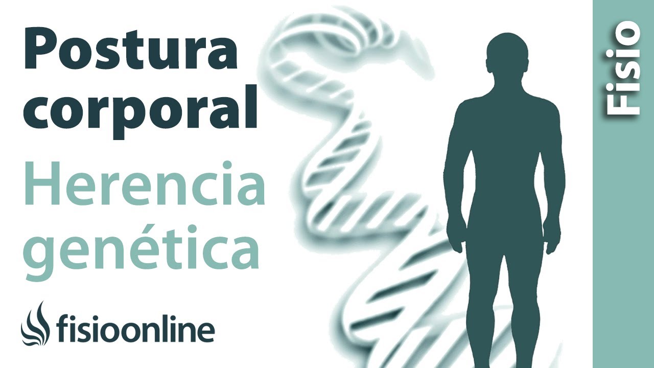 目の当たり Postura corporal y herencia genética