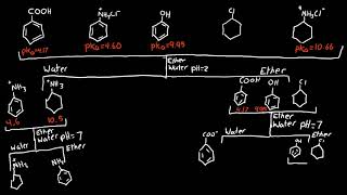 Separating Compounds with Water, Ether, 1M HCl, and 1M NaOH