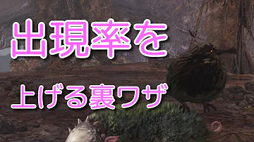 تحميل 調査協力 幻の鳥の捕獲