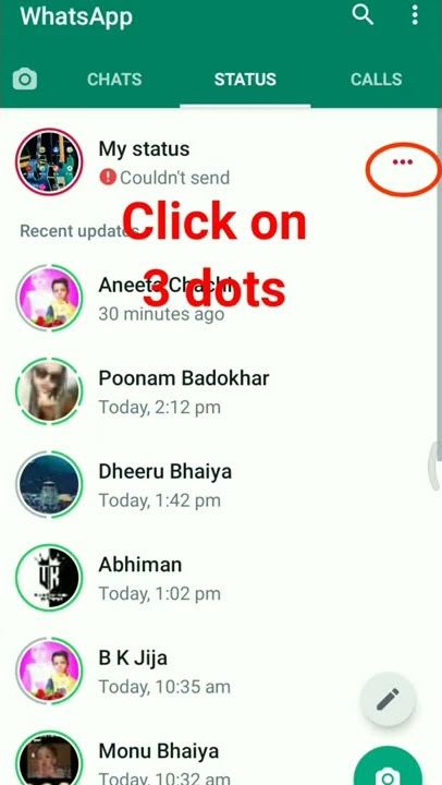How to delete Couldn't send whatsapp status