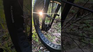 #bike #fatbike #велосипед #природа #nature #велопоход #Путешествие #фэтбайк #спорт #bicycle #люблю