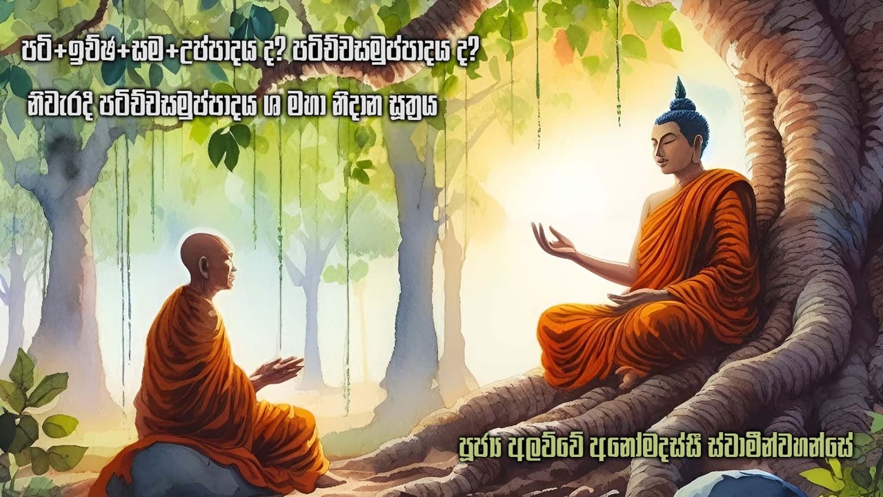 නිවැරදි පටිච්චසමුප්පාදය | මහා නිදාන සූත්‍ර‍ය Ven. Alawwe Anomadassi Thero