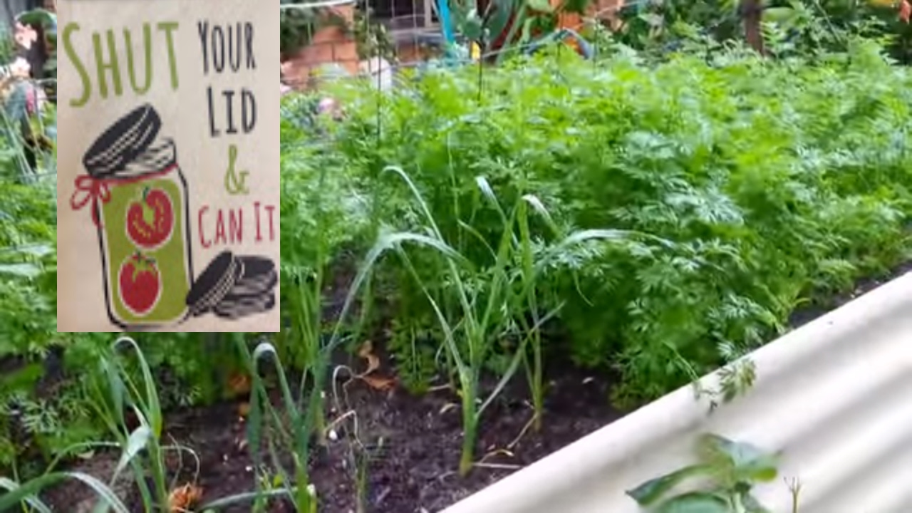 RAISED BED CORE GARDEN UPDATE. - YouTube