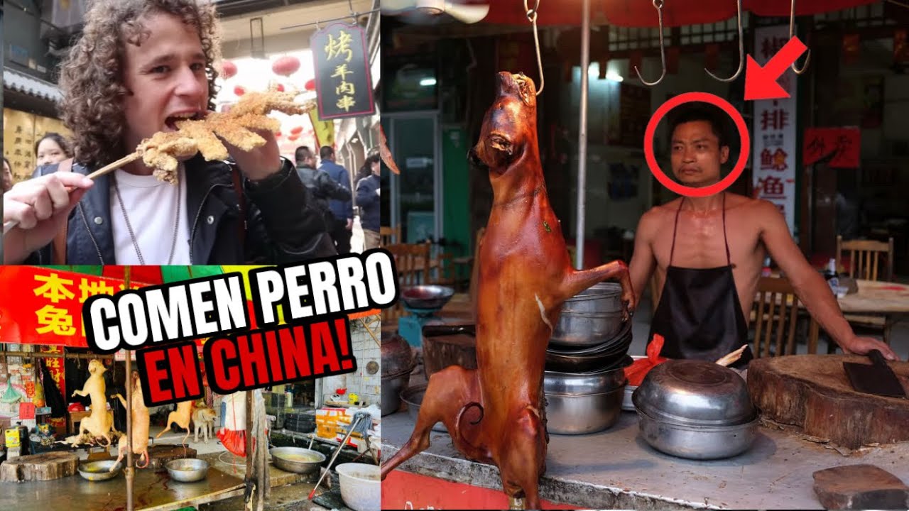 Probando COMIDA CALLEJERA DE CHINA - ¿REALMENTE COMEN PERRO? REACCIÓN. 