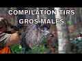 Compilation tirs de gros mâles - Big wild boar shooting compilation