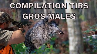 Compilation tirs de gros mâles  Big wild boar shooting compilation