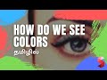 How Brain See Real Life Colors Tamil - What is Color Constancy | Simplify Tamil