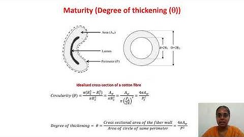 GATE3_TEXTILE _FIBRE FINENESS AND MATURITY