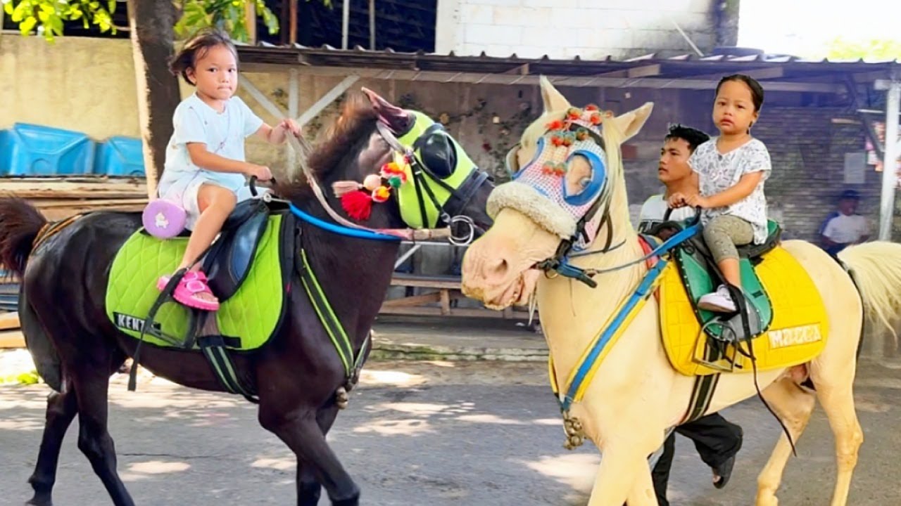 NAIK DELMAN | NAIK DELMAN ISTIMEWA | LAGU ANAK VIRAL | LAGU ANAK INDONESIA
