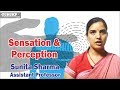 Sensation and Perception(M.Ed)