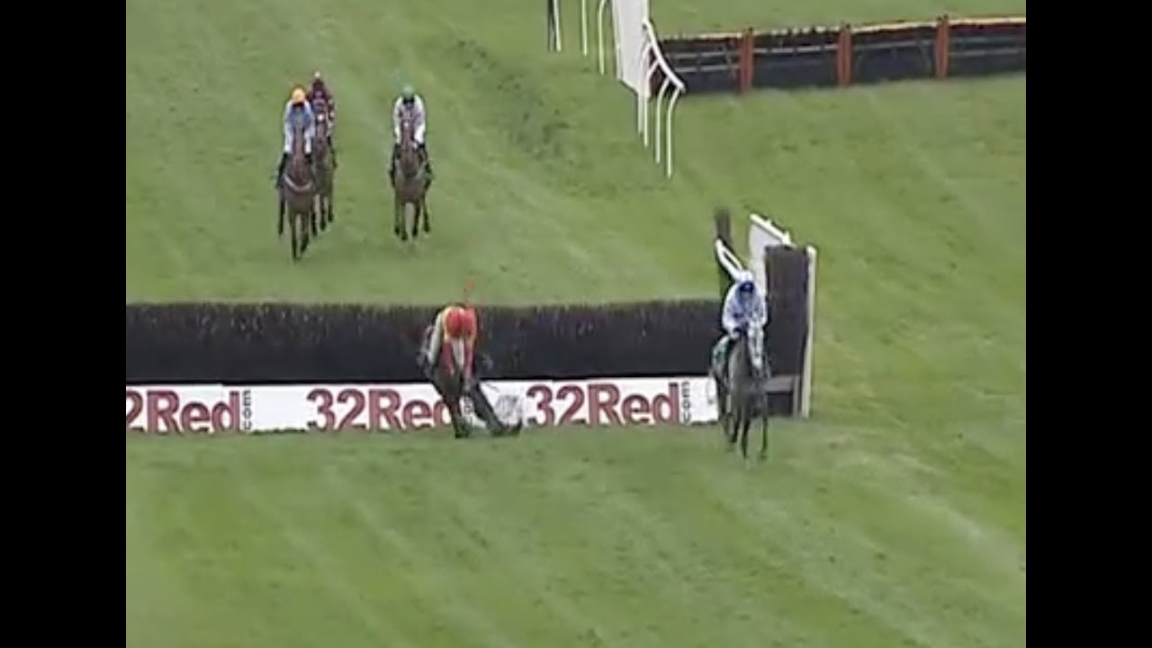 Horse Racing Death 115 Up To Something at Chepstow Racecourse YouTube