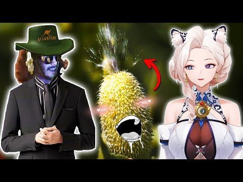 Austrailia CAN'T be real.. | Australian Snow-Leopard Reacts to More Parz