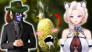 Download Lagu Austrailia CAN'T be real.. | Australian Snow-Leopard Reacts to More Parz MP3