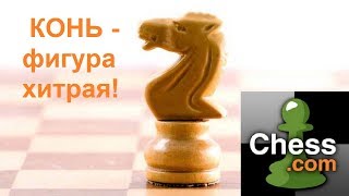 Шахматная тактика на chess.com. Действительно красивая задача высокой сложности! Шахматная тактика на chess.com. Действительно красивая задача высокой сложности!