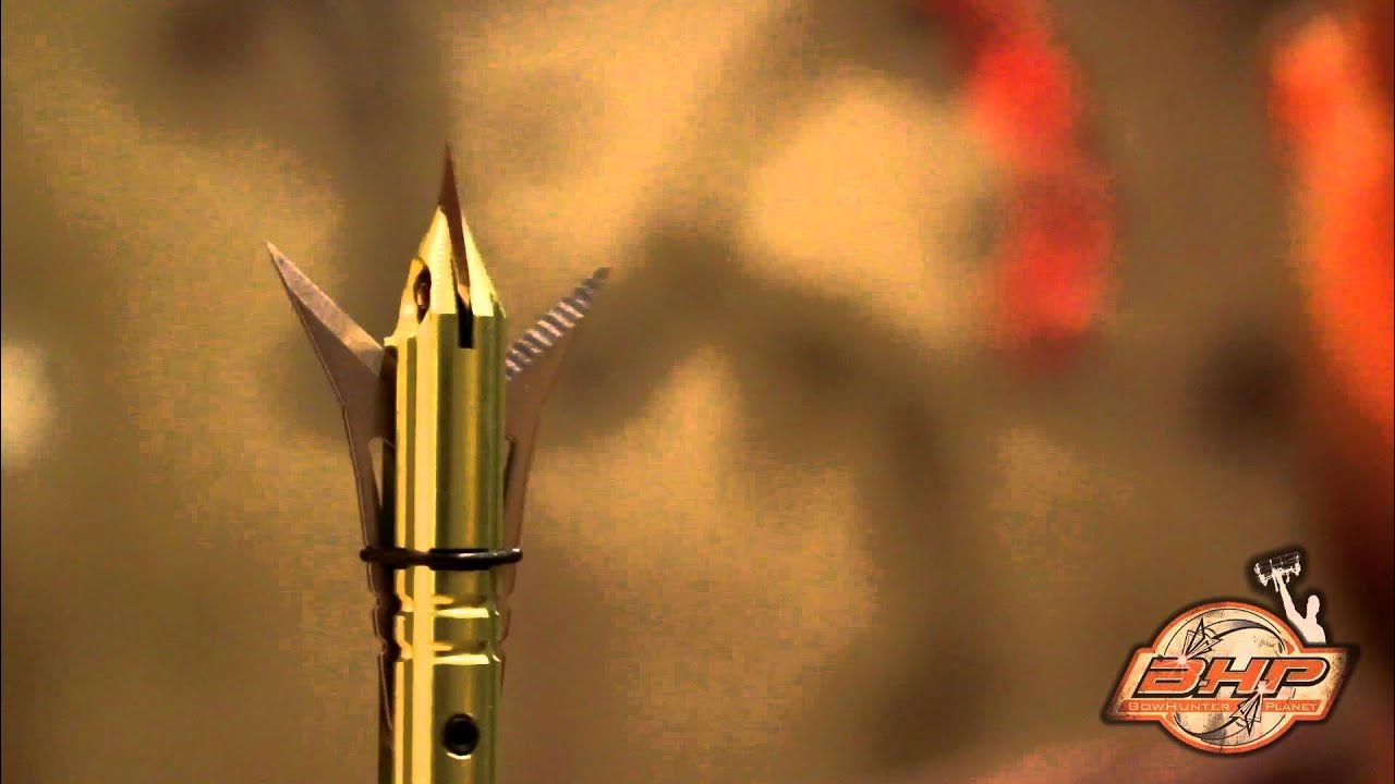 Xecutioner Broadhead Introduction YouTube