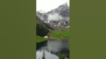 سورة القلم #quran #سورة_القلم
