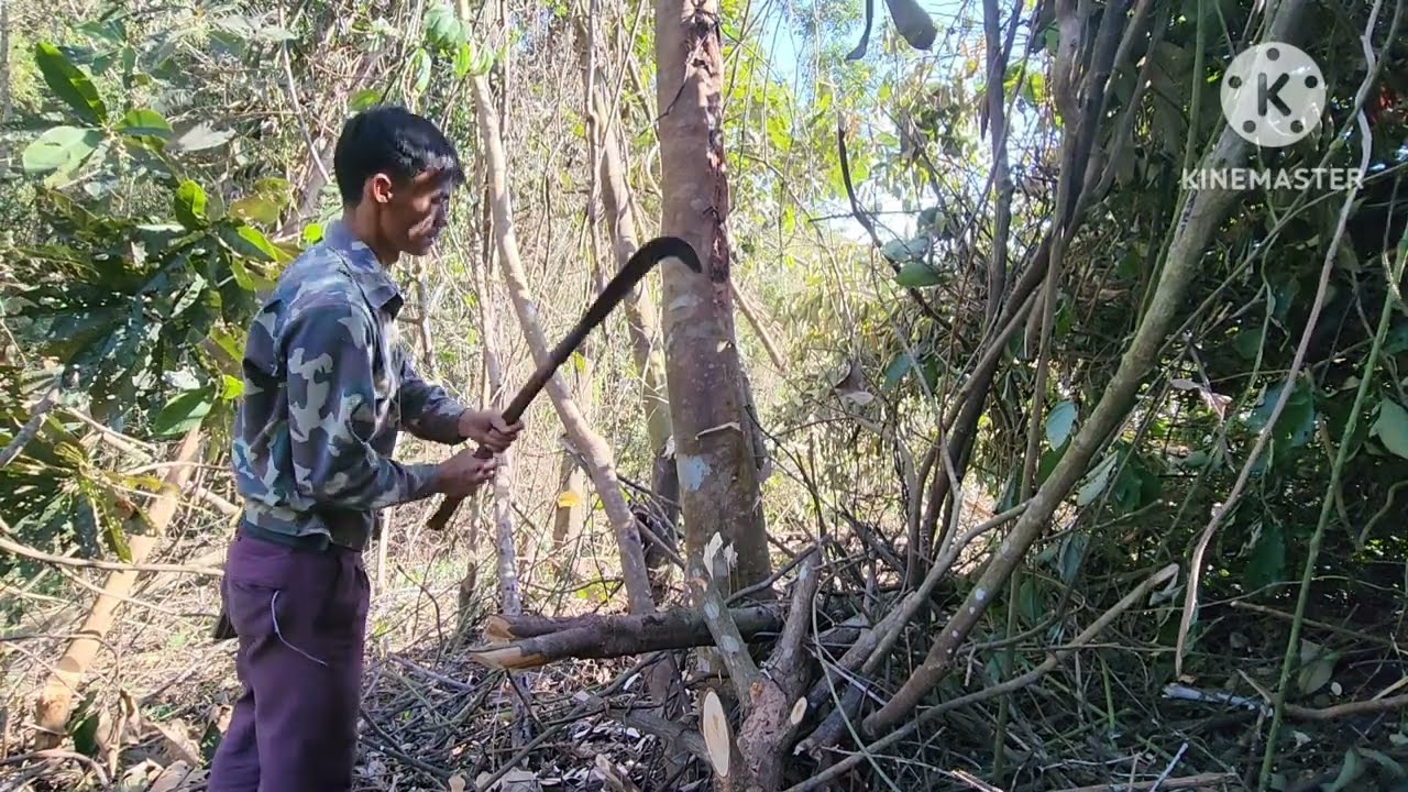 Hnub no ib leeg tuaj ntov ntoos teb npleg os 15 /2/2026