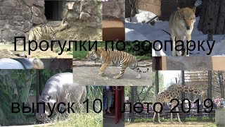 видео: Московский зоопарк, лето 2019 года картинка: Московский зоопарк, лето 2019 года