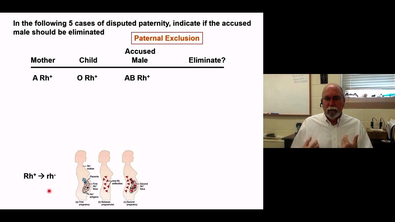 GG   Multiple Alleles Part 2