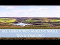 Tea &amp; Training All Creatures Great &amp; Small