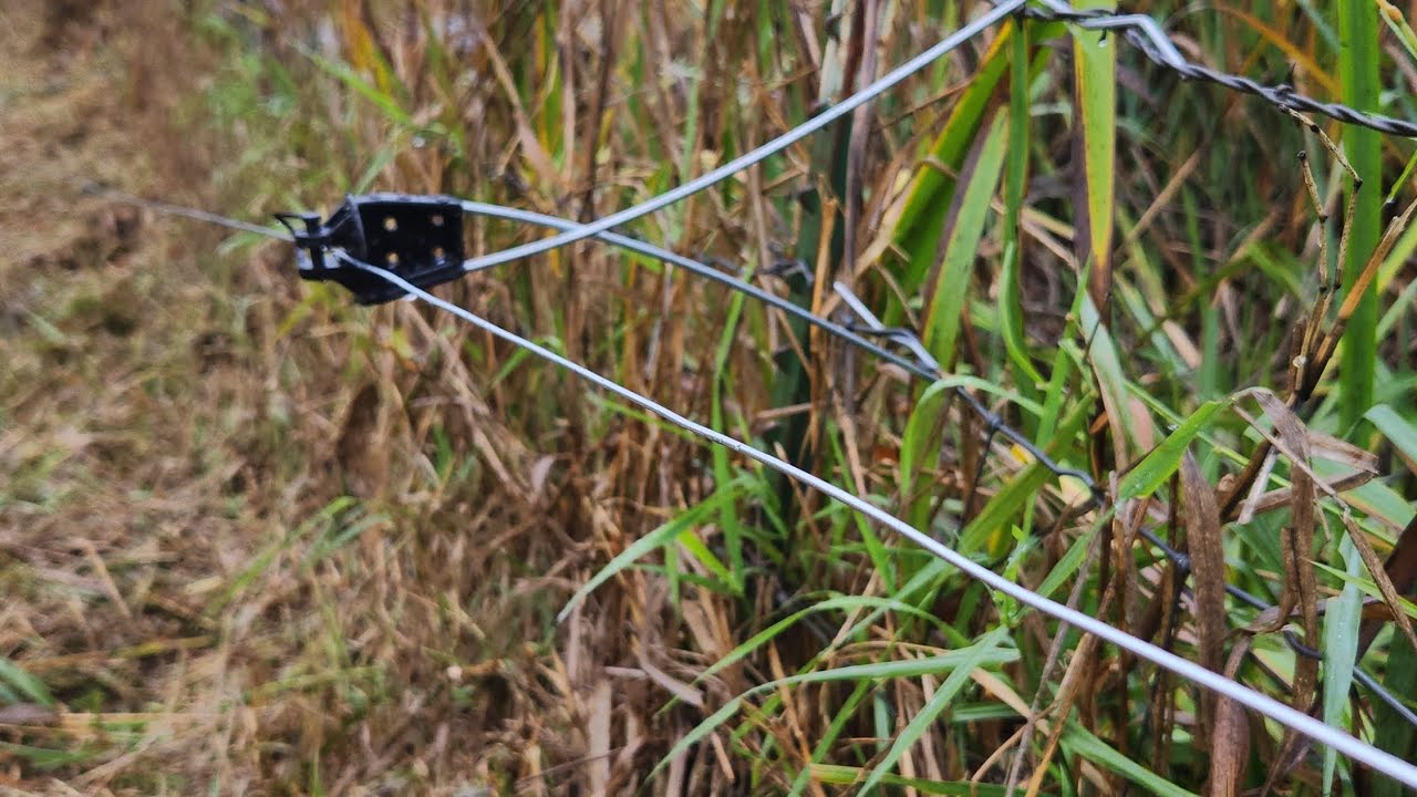 Offset Fencing Add life to those old fences with Gallagher 12