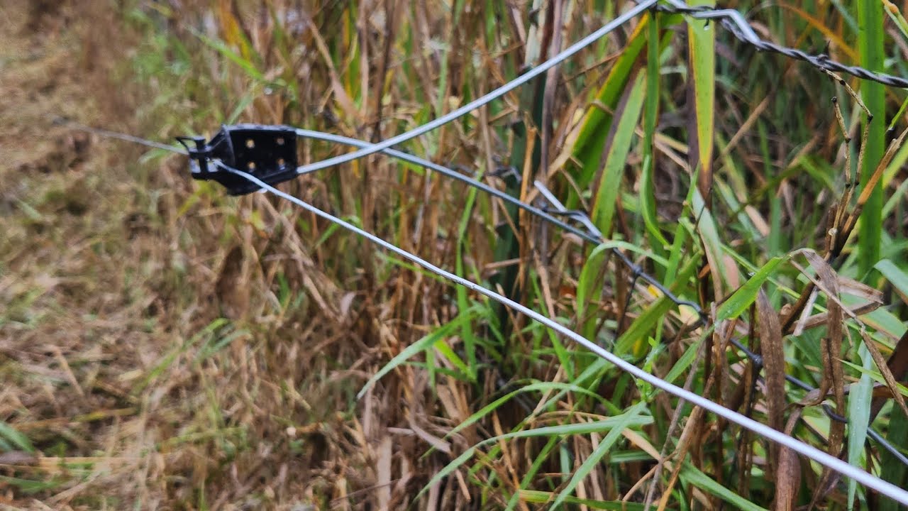 What should you know about the electric fence? –