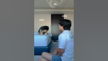 The way yeontan kissed taehyung  😭❤ | #bts #taehyung #yeontan #shorts