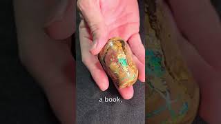 #170. The countdown continues... Natural Matrix Opal Specimen, the Beatle from Koroit.