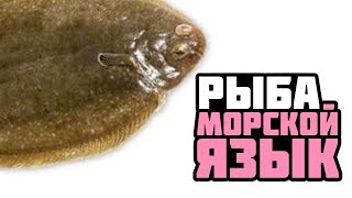 Рыба. Морской язык Рыба. Морской язык