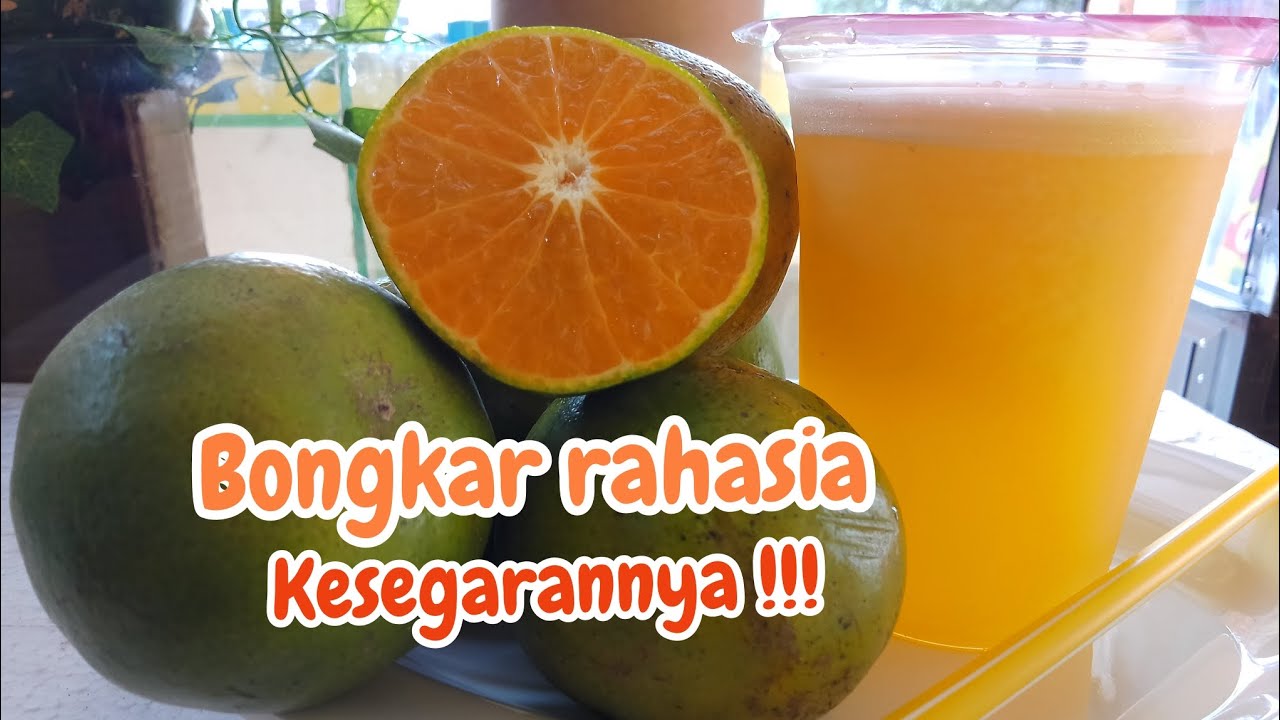 cara membuat jus jeruk untuk dijual cara membuat jus jeruk untuk dijual