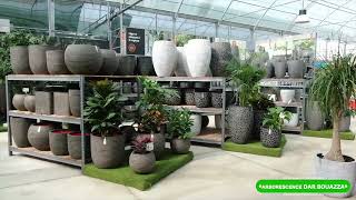 Arborescence Dar Bouazza