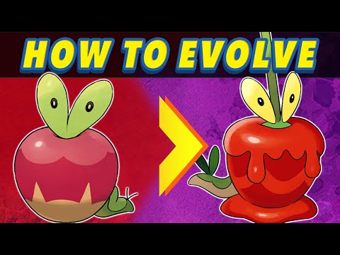 How to Evolve