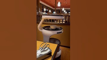 How robots 🤖 help humans #technology