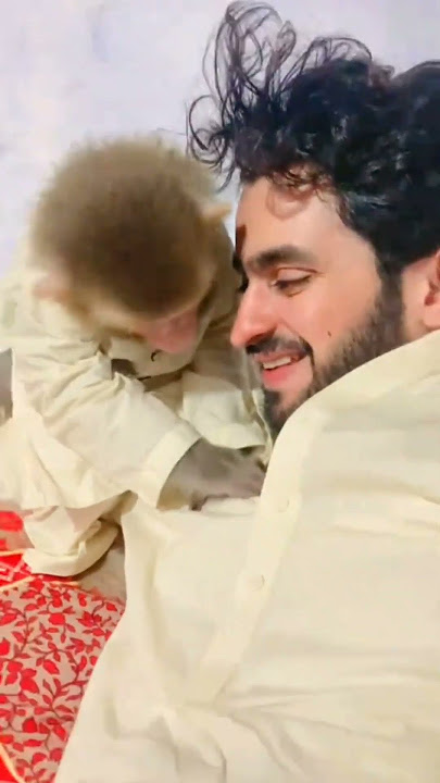 True love monkey child with man.❤️❤️❤️❤️#shorts #short.
