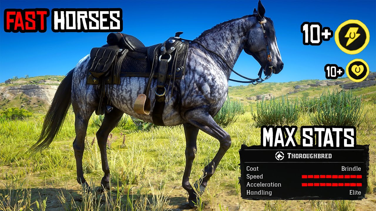 5 Horses faster than Arabains & How to get them - Red Dead Redemption 2