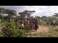 Bull jump ceremony of the Hamer tribes of the Lower Omo Valley Cultural and photography Tours!