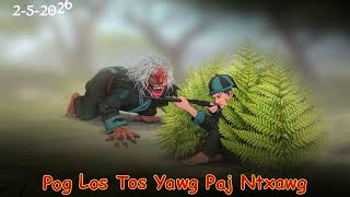 Sab Sij Huam Pog Ua Tsov Los Tom Yawg Paj Ntxawg