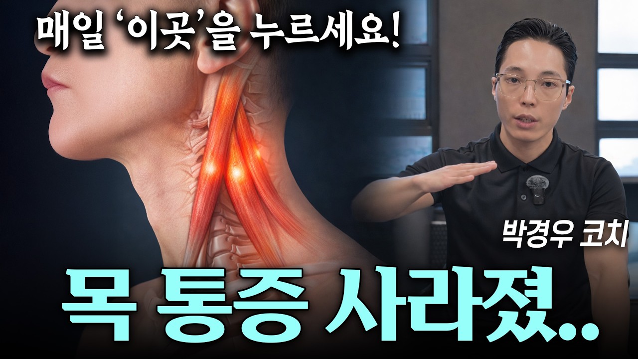 손저림 팔 힘빠짐 목 통증… ‘이곳’만 풀어도 확 달라집니다 (단 2분)보조안 | 목 디스크가 아닌 '사각근 증후군'을 의심해라! | 중사각근 신경 이완법