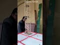 seismic forces shake table Competition