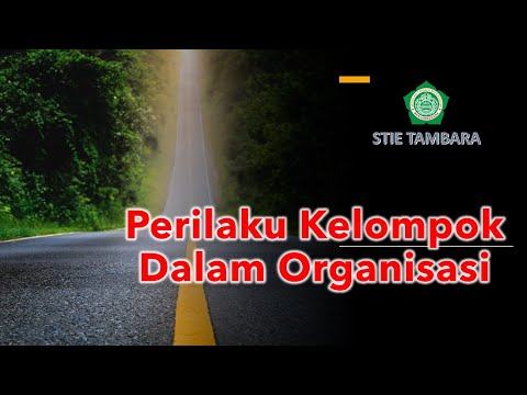 Video: Apa itu Perilaku Kelompok dalam Organisasi?