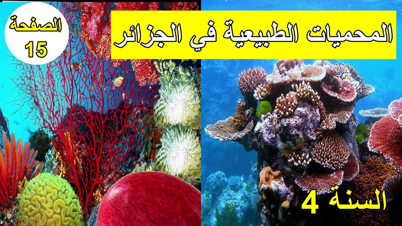 المحميات الطبيعية في بلادي الصفحة 15 السنة 4 ابتدائي