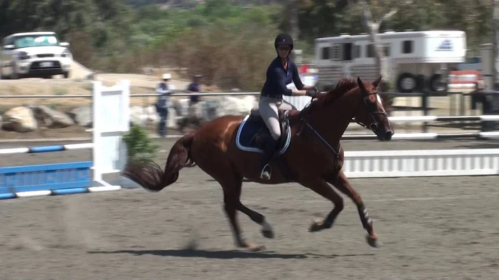 Michelle Capparelli on You Don't Know Jack Round 2 Verdugo Hills Jumper Show August 2016