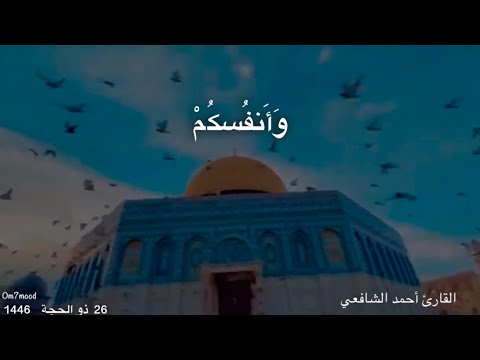 لتبلون في أموالكم وأنفسكم ولتسمعن من الذين أوتوا الكتاب من قبلكم ومن الذين أشركوا أذى كثيرا 186