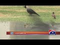 Pakistan temperatures cross 52 C in heatwave / Hot Weather