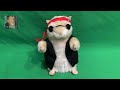 Youtube Thumbnail title