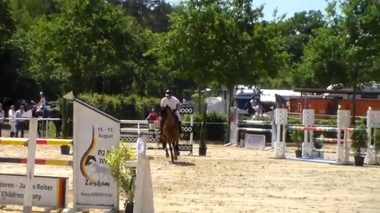 SA Equestrian 8j by Candillo Zeiskam 130m