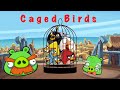 Angry Birds Insanity | S.1 Ep.5 : Caged Birds