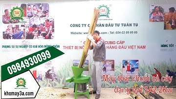Máy thái chuối cả cây dạng hạt 3A2,2Kw 4,5 triệu năng suất 3,4 tấn/giờ