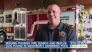 Missing Phoenix fire search and rescue dog found in neighbor's swimming pool