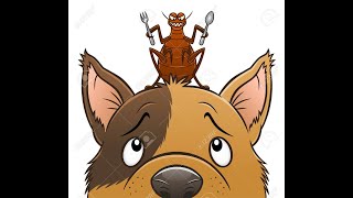 La Pulga Aventurera Edgar Carrera 2020